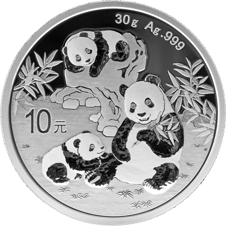 2025 China 10 Yuan 30g Ag.999 Panda Silver Coin BU